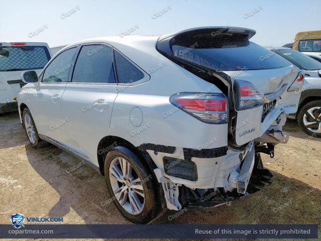 Auction photo