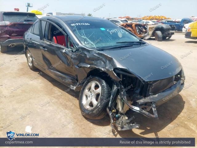 Auction photo