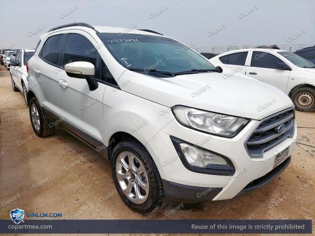 Auction photo