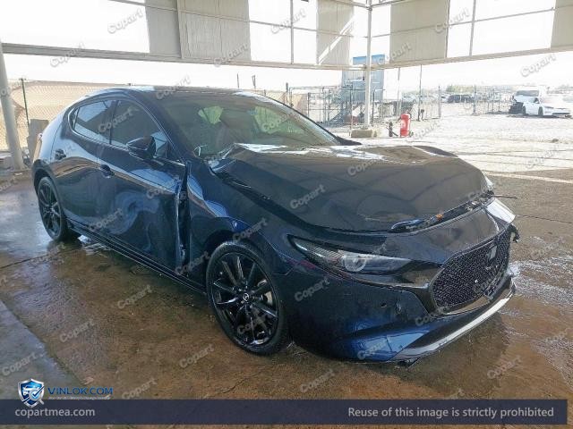 Auction photo