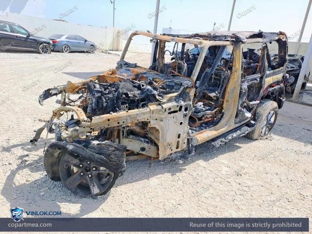 Auction photo