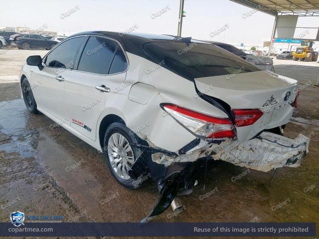 Auction photo