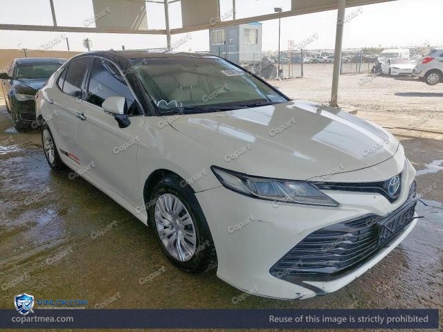 Auction photo