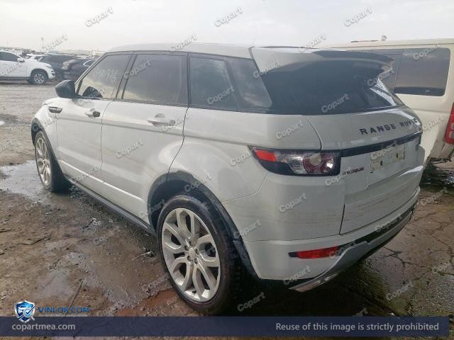 Auction photo