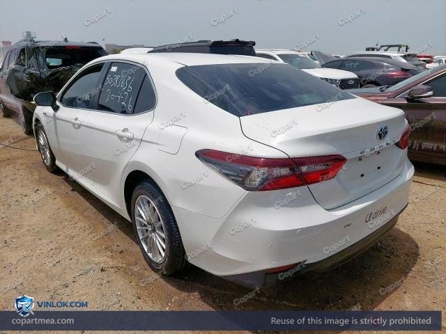 Auction photo