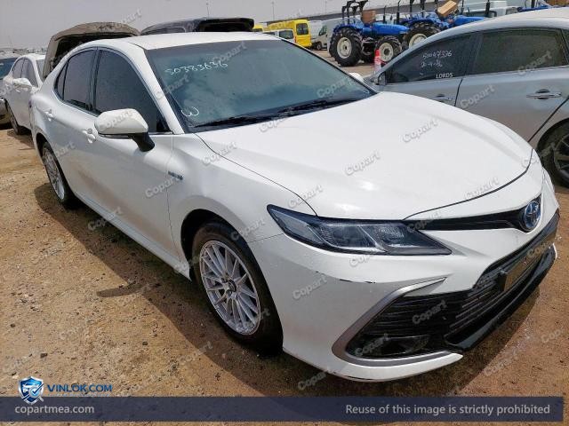 Auction photo