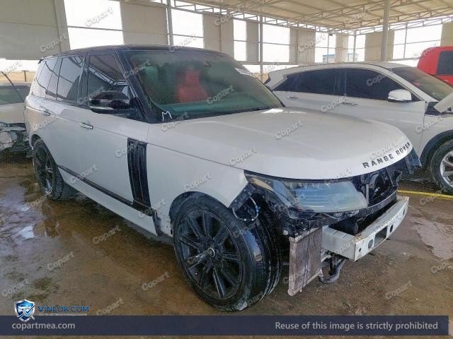 Auction photo