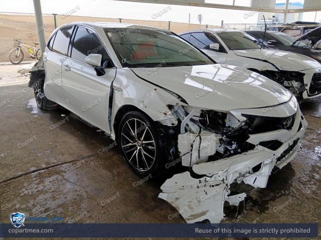 Auction photo