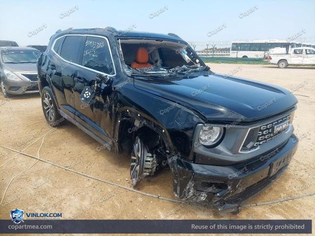 2025 HAVA H7 — Lot 50533736 auction photo