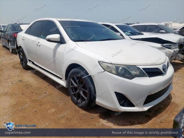 Auction photo