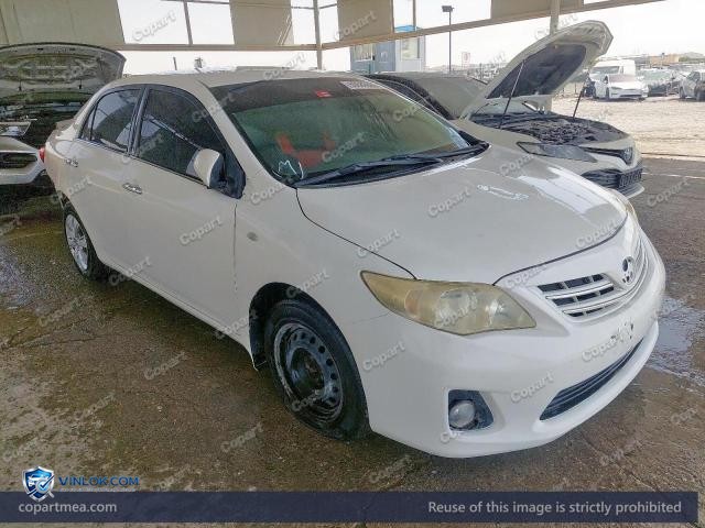 Auction photo