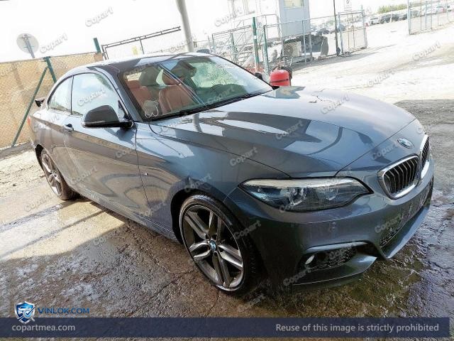 2018 BMW 220 — Lot 50711556 auction photo