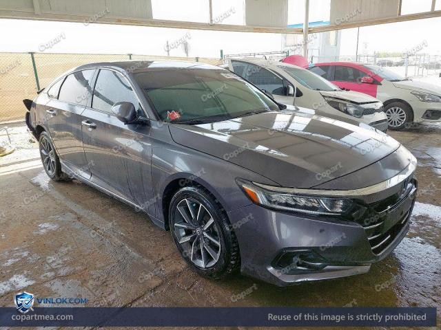 Auction photo