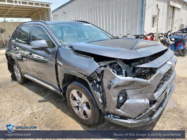 Auction photo
