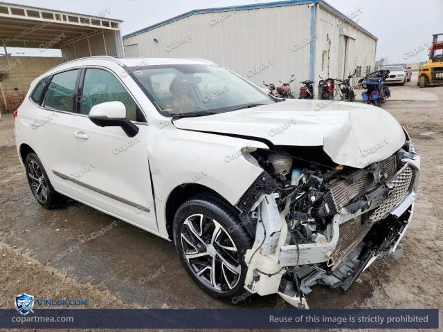 2024 HAVA JOLION — Lot 50841246 auction photo
