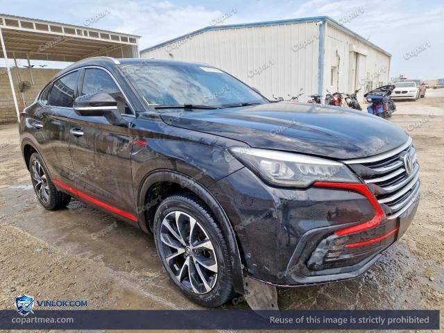 2021 CHAN CS85 — Lot 50841466 auction photo