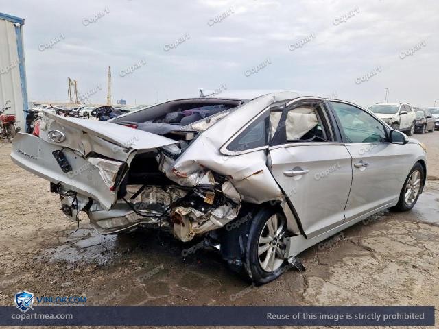 Auction photo