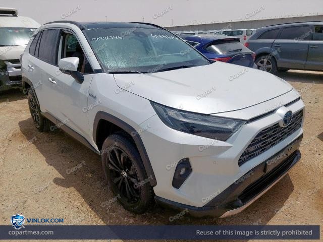 Auction photo