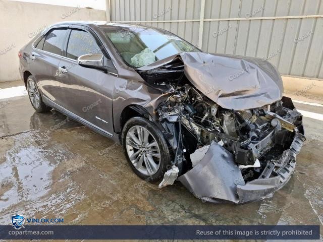 Auction photo