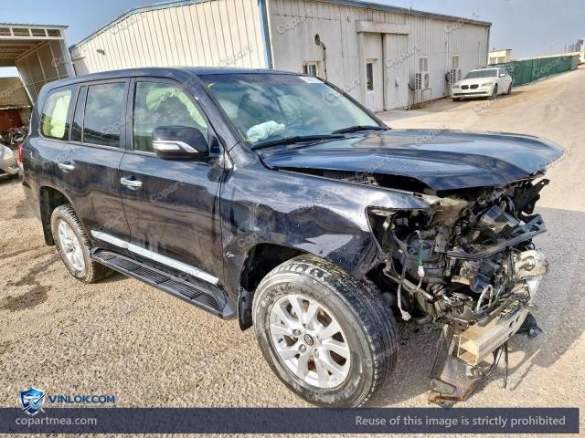 Auction photo