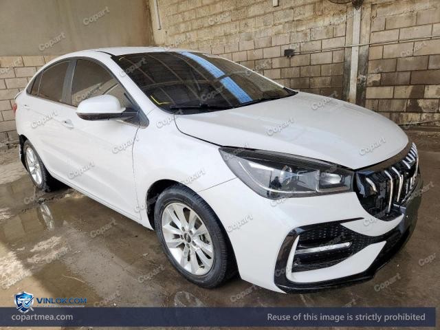 2024 CHER ARRIZO 5 — Lot 50866716 auction photo