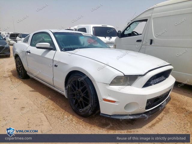 Auction photo