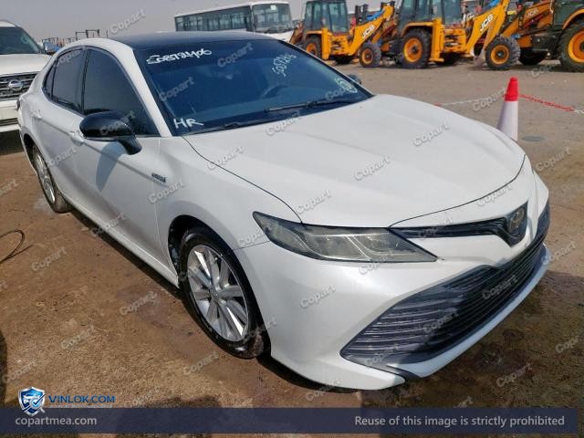 Auction photo
