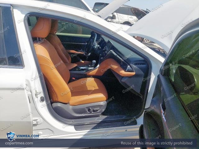 Auction photo