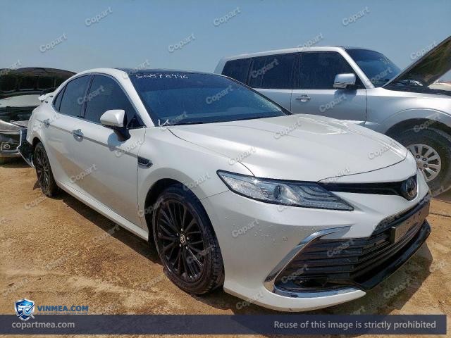 Auction photo