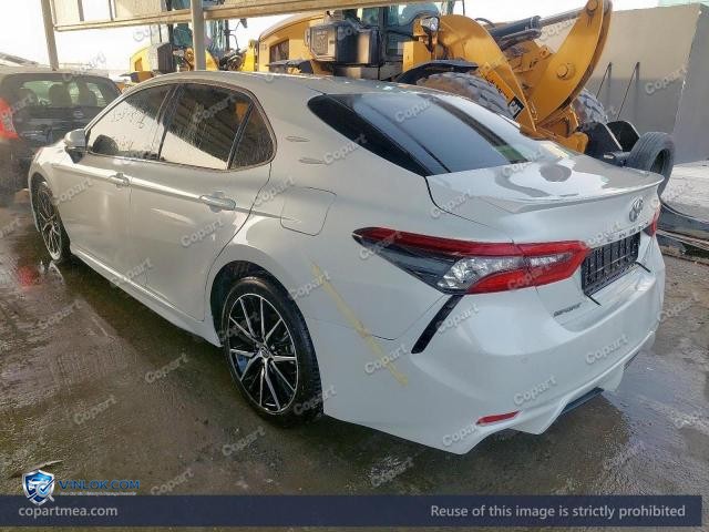 Auction photo