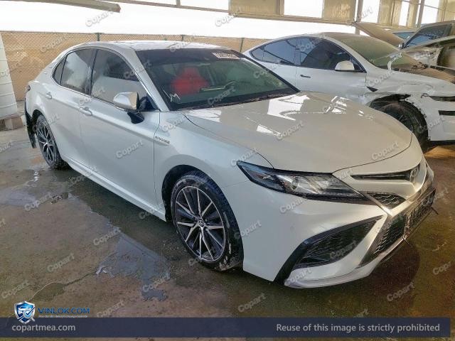 Auction photo