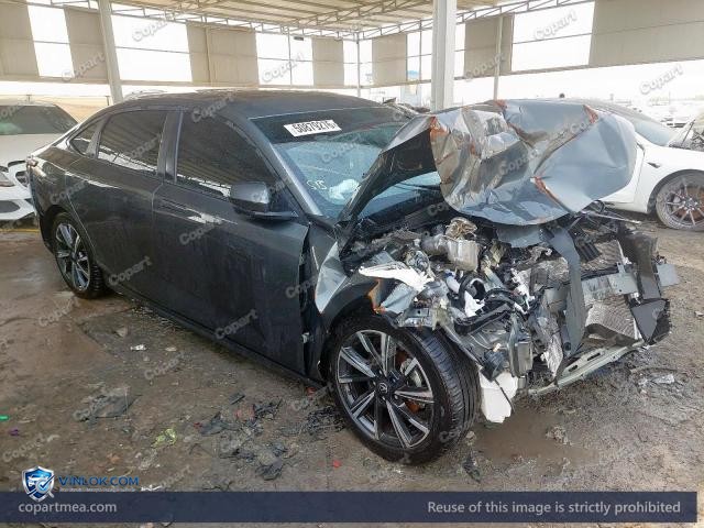 2025 CHAN EADO PLUS — Lot 50879276 auction photo