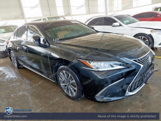 Auction photo