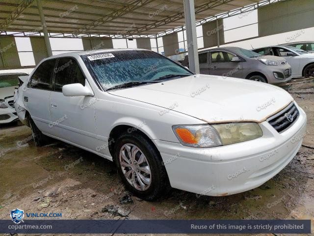 Auction photo