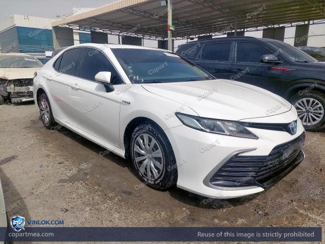Auction photo