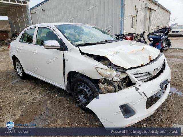 Auction photo