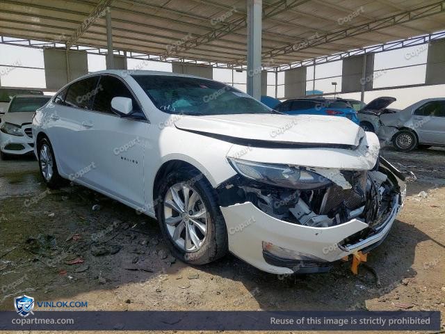Auction photo