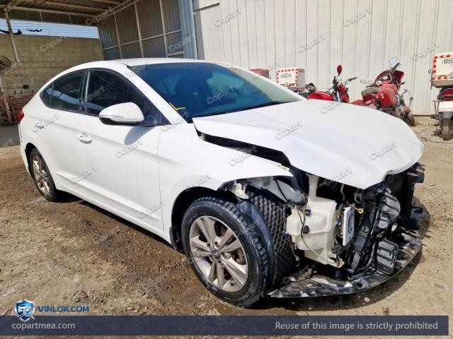 Auction photo