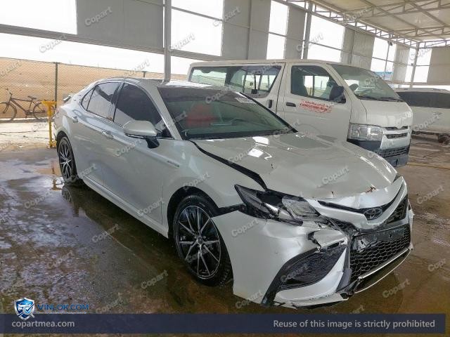 Auction photo