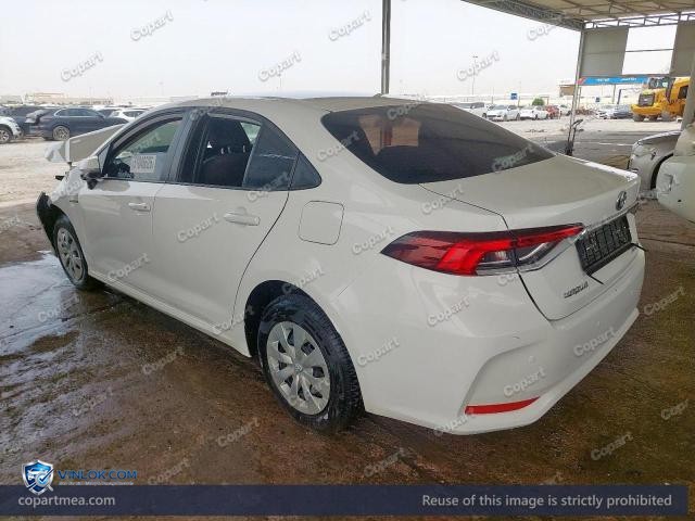 Auction photo