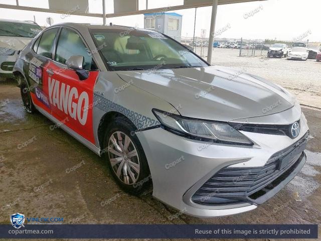 Auction photo