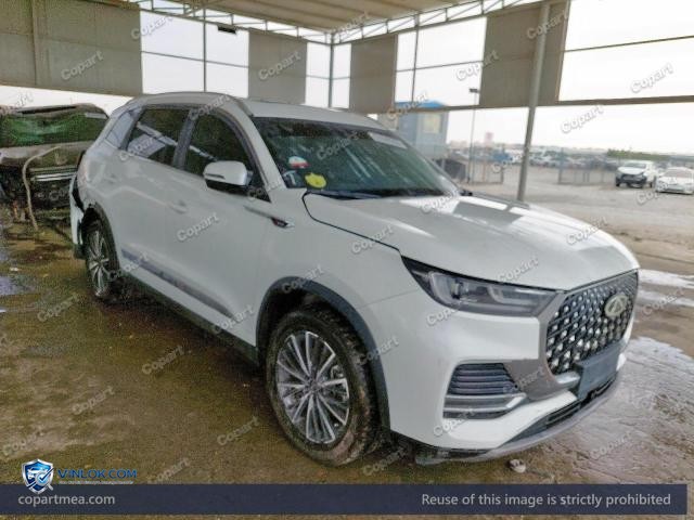 Auction photo