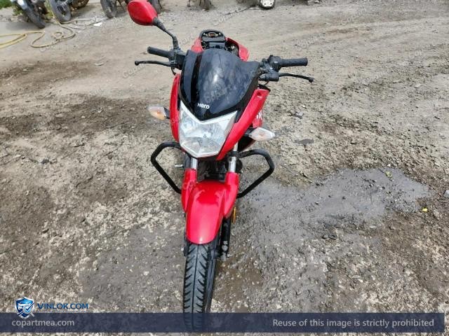 Auction photo