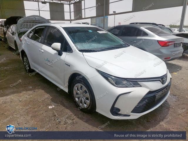 Auction photo