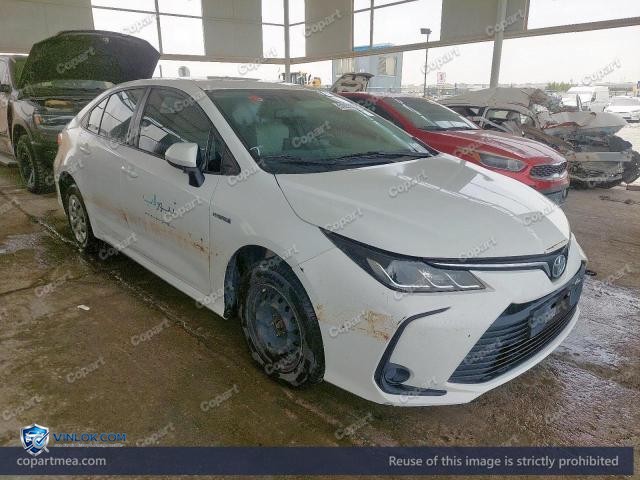 Auction photo