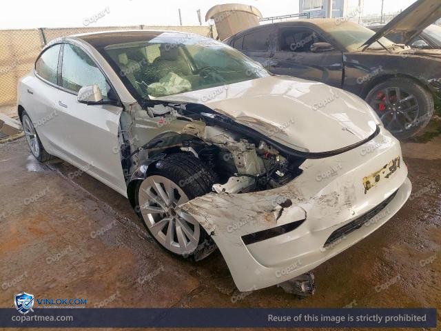 Auction photo