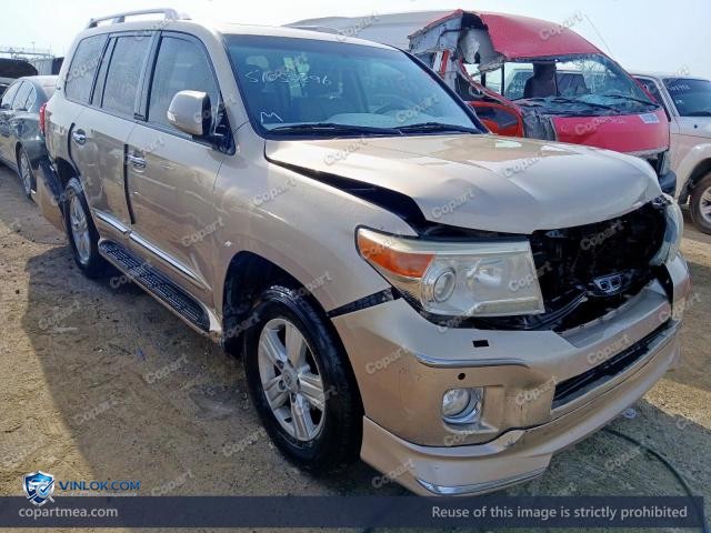 Auction photo
