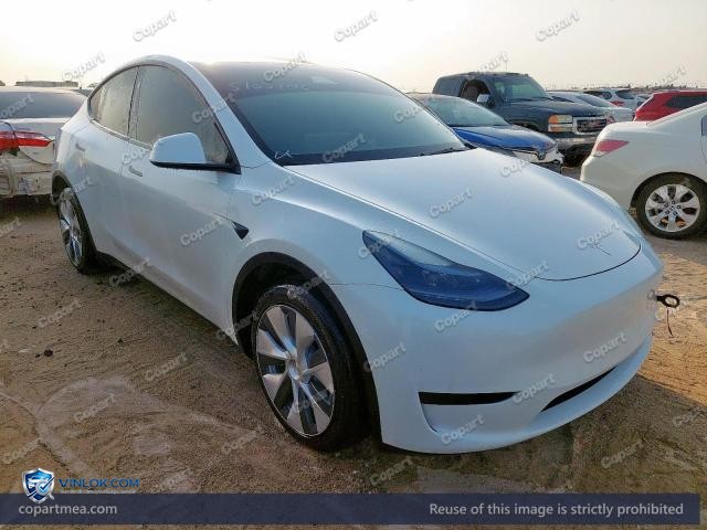 Auction photo