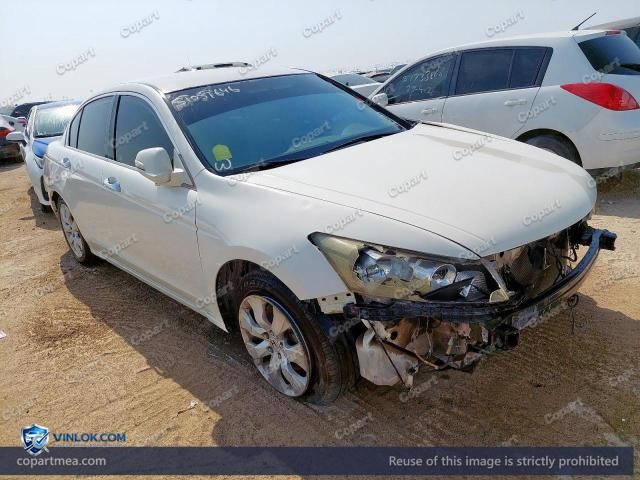 Auction photo