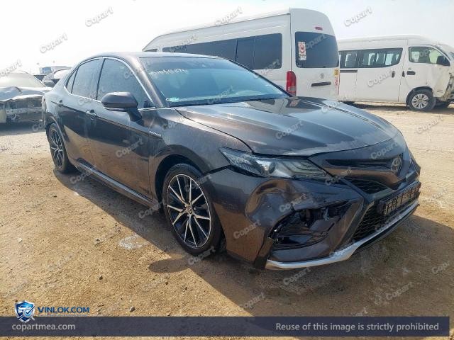 Auction photo